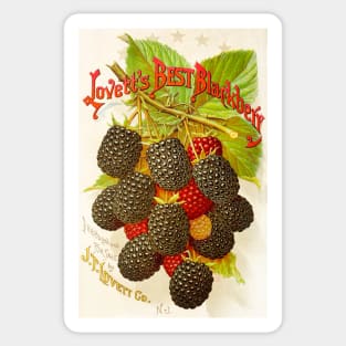 Lovett's Best Blackberry Ad Sticker